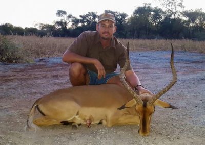 Impala hunt 2