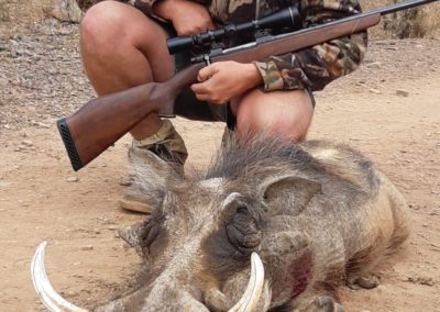 Warthog hunt